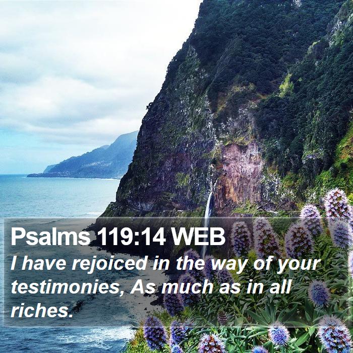 Psalms 119:14 WEB Bible Study