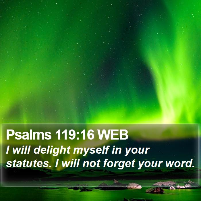 Psalms 119:16 WEB Bible Study