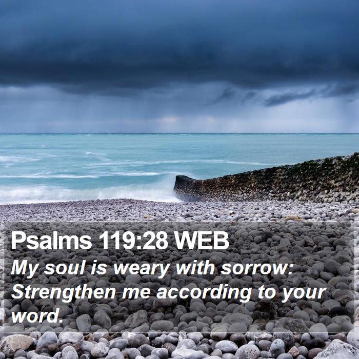 Psalms 119:28 WEB Bible Study