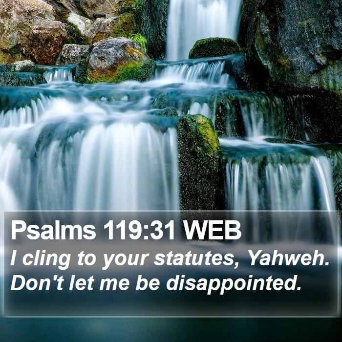 Psalms 119:31 WEB Bible Study