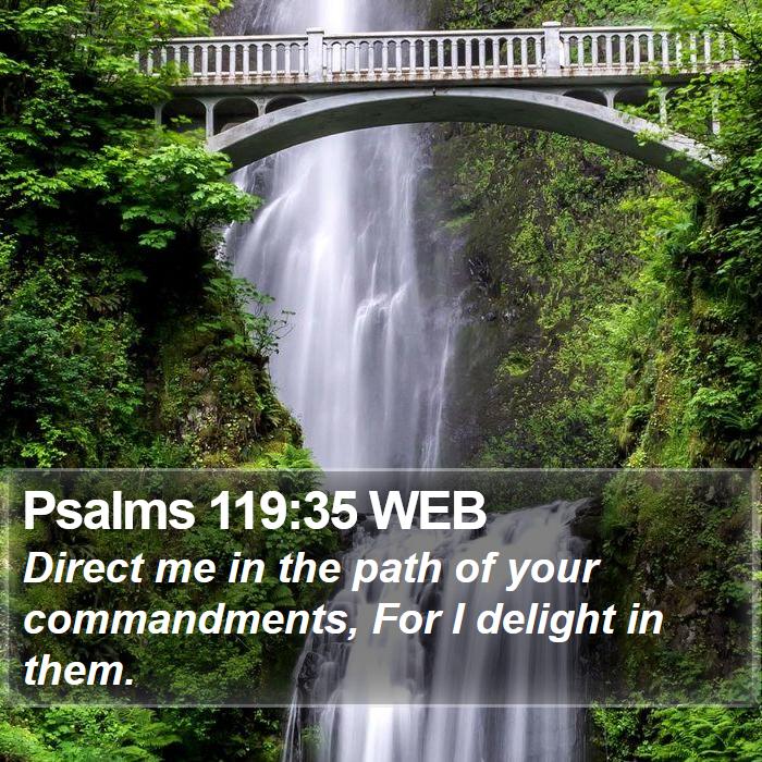 Psalms 119:35 WEB Bible Study