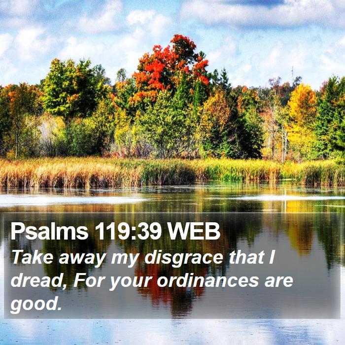 Psalms 119:39 WEB Bible Study