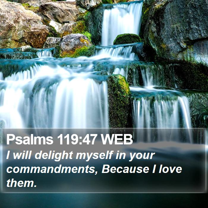 Psalms 119:47 WEB Bible Study