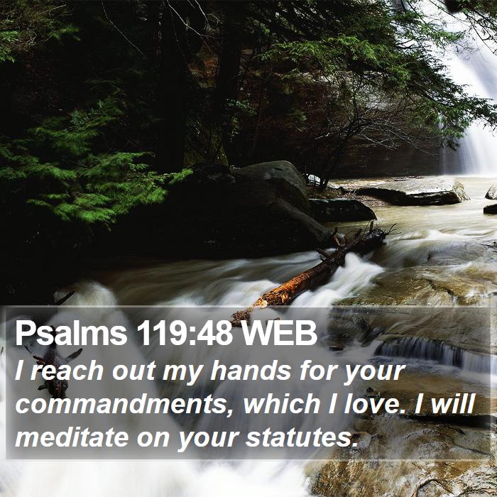 Psalms 119:48 WEB Bible Study