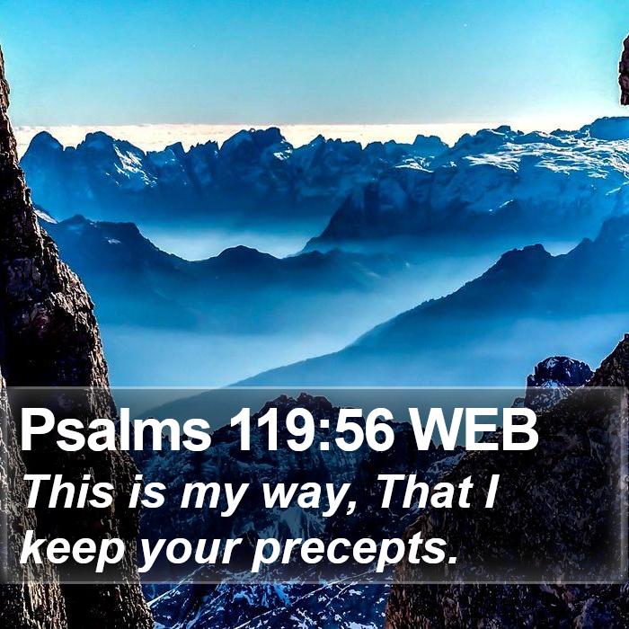 Psalms 119:56 WEB Bible Study