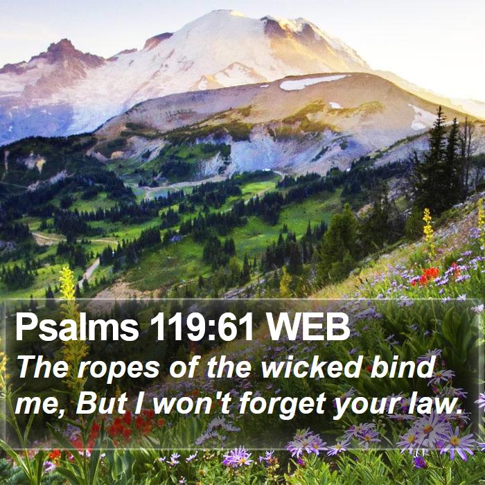 Psalms 119:61 WEB Bible Study