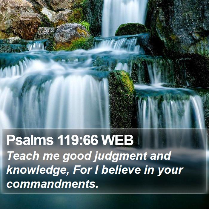 Psalms 119:66 WEB Bible Study