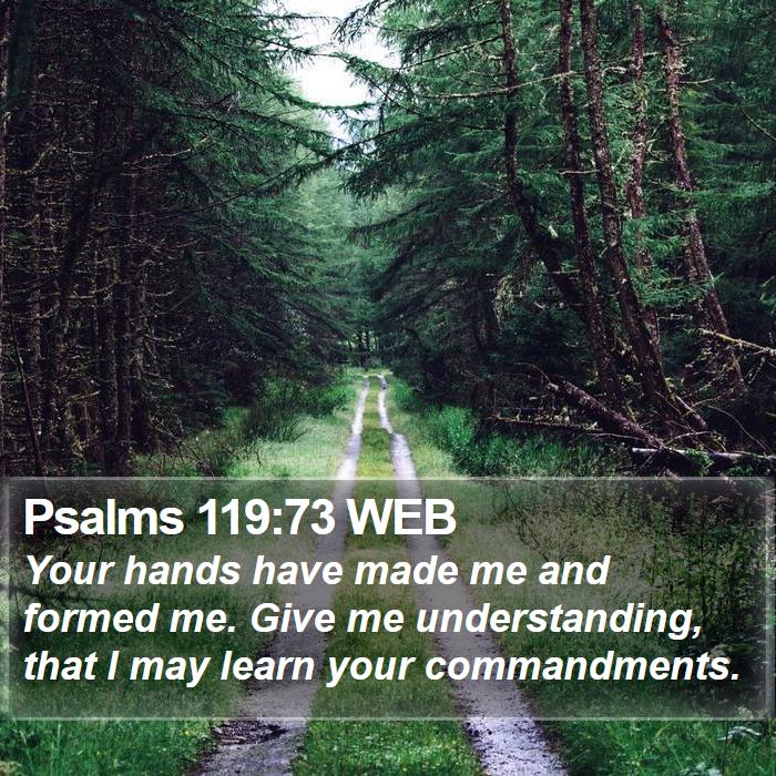 Psalms 119:73 WEB Bible Study