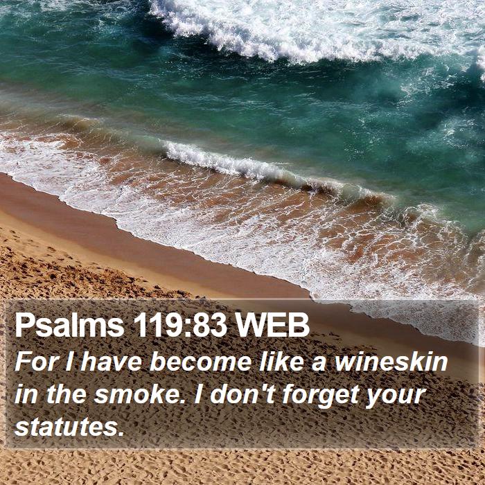 Psalms 119:83 WEB Bible Study