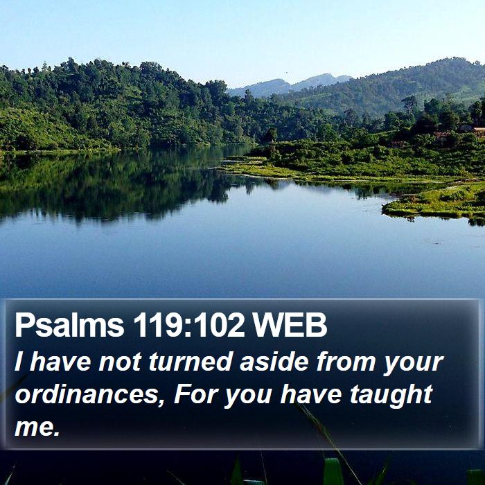 Psalms 119:102 WEB Bible Study