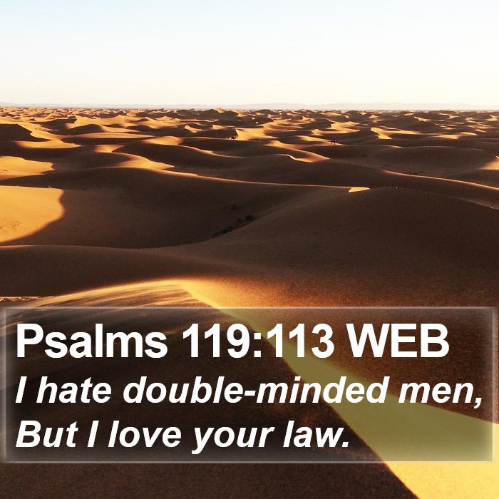 Psalms 119:113 WEB Bible Study