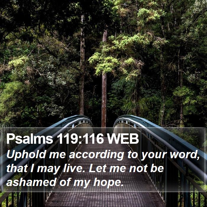 Psalms 119:116 WEB Bible Study