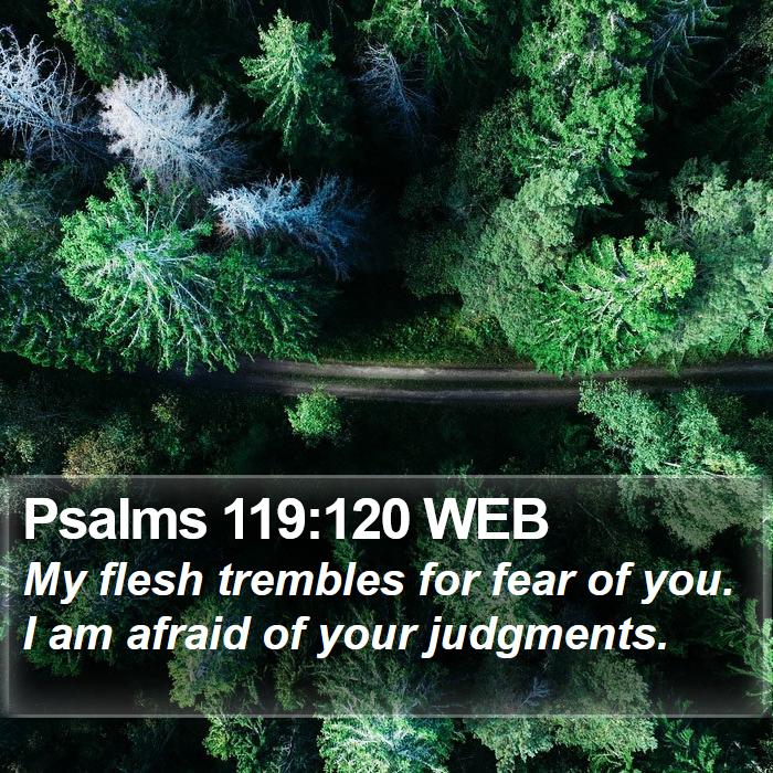 Psalms 119:120 WEB Bible Study