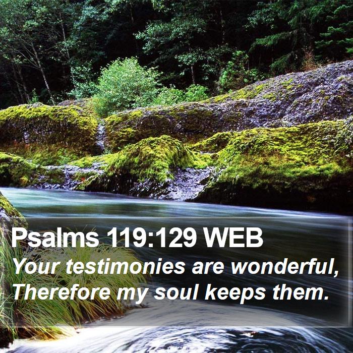 Psalms 119:129 WEB Bible Study