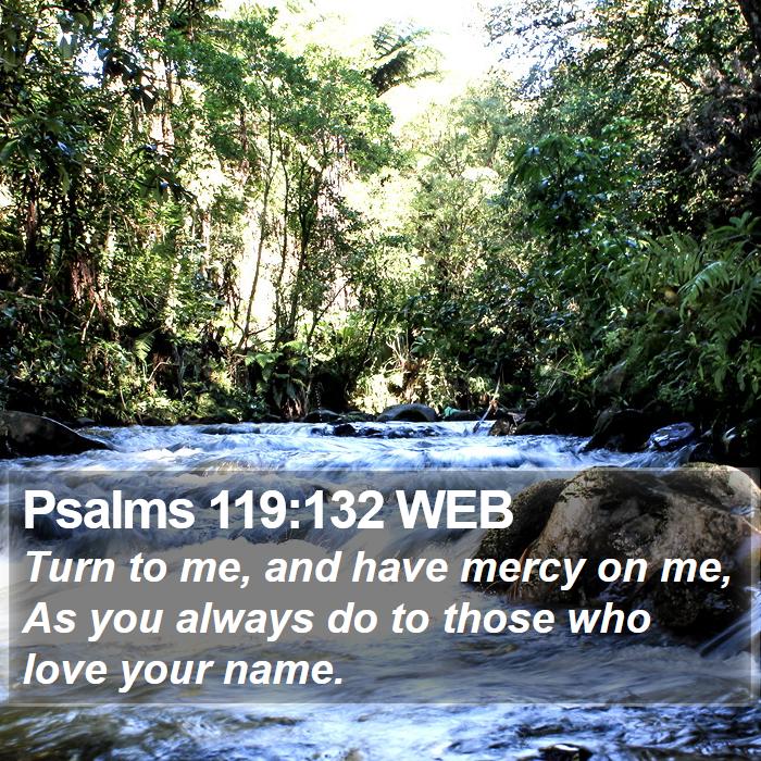 Psalms 119:132 WEB Bible Study