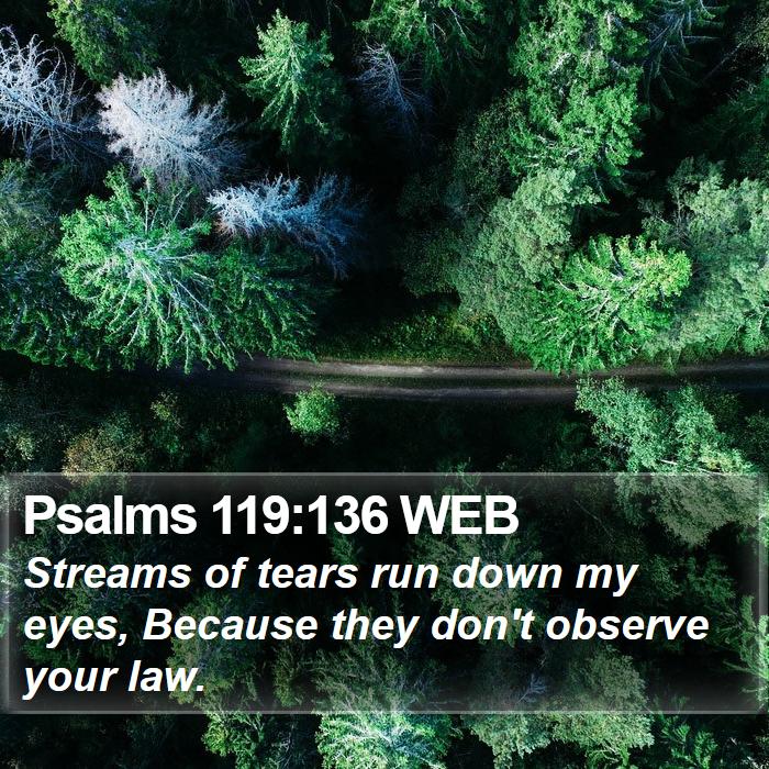 Psalms 119:136 WEB Bible Study