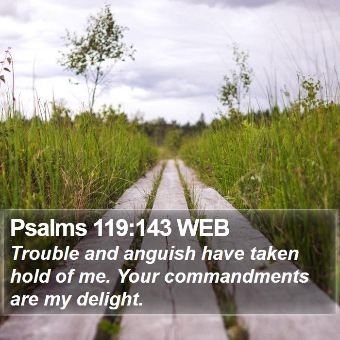 Psalms 119:143 WEB Bible Study