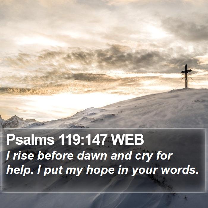 Psalms 119:147 WEB Bible Study