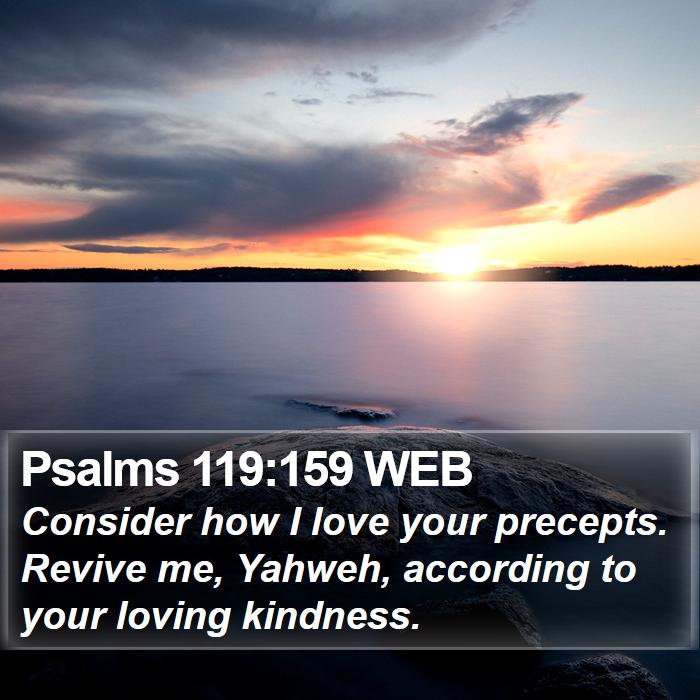 Psalms 119:159 WEB Bible Study