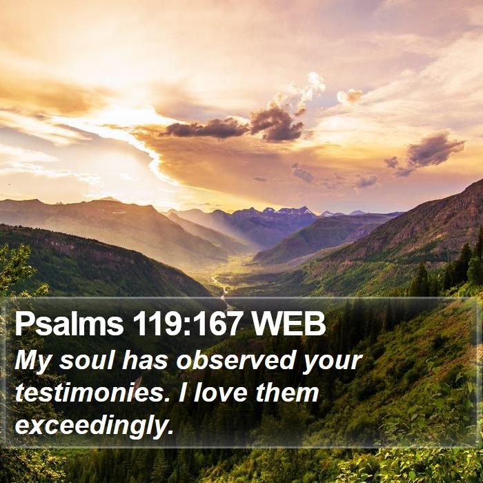 Psalms 119:167 WEB Bible Study