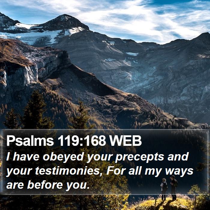 Psalms 119:168 WEB Bible Study