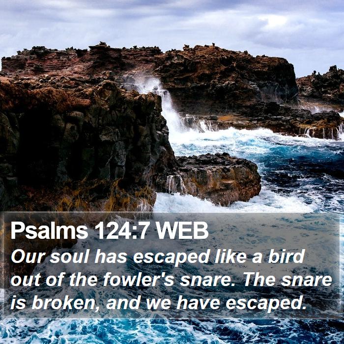 Psalms 124:7 WEB Bible Study