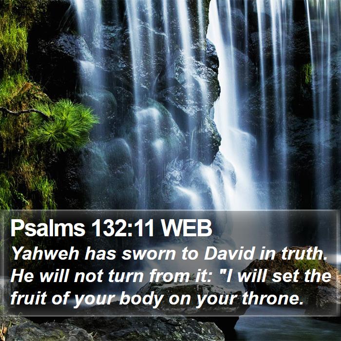 Psalms 132:11 WEB Bible Study