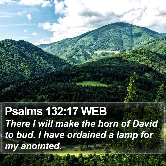 Psalms 132:17 WEB Bible Study