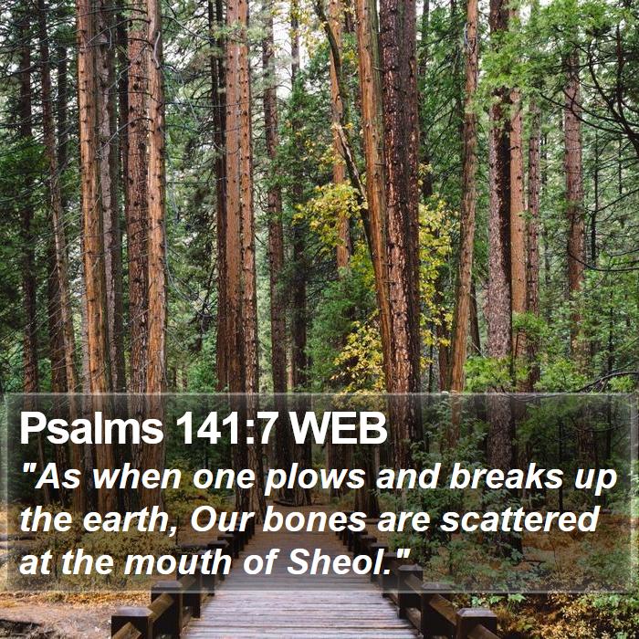 Psalms 141:7 WEB Bible Study