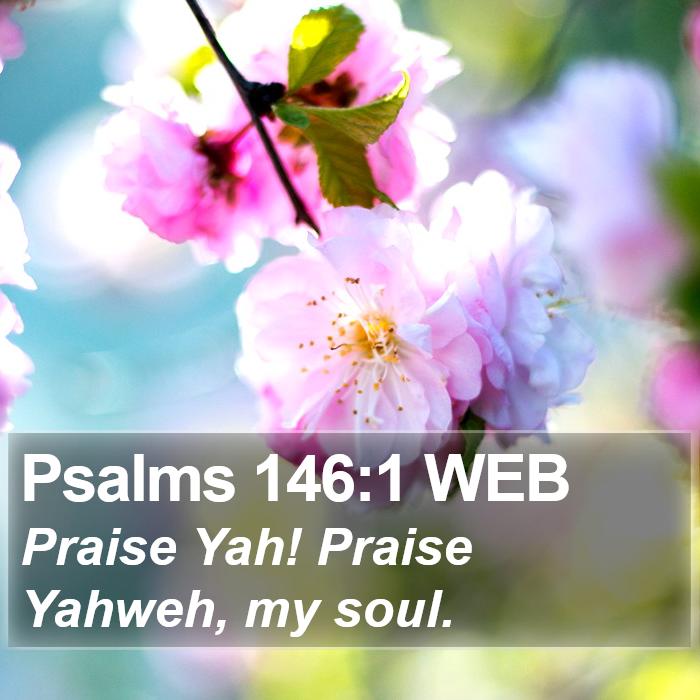 Psalms 146:1 WEB Bible Study