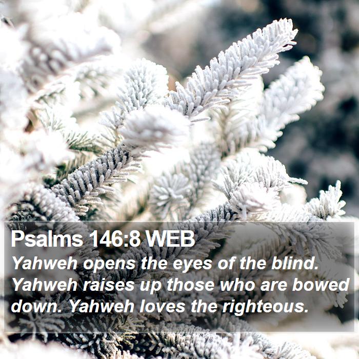 Psalms 146:8 WEB Bible Study