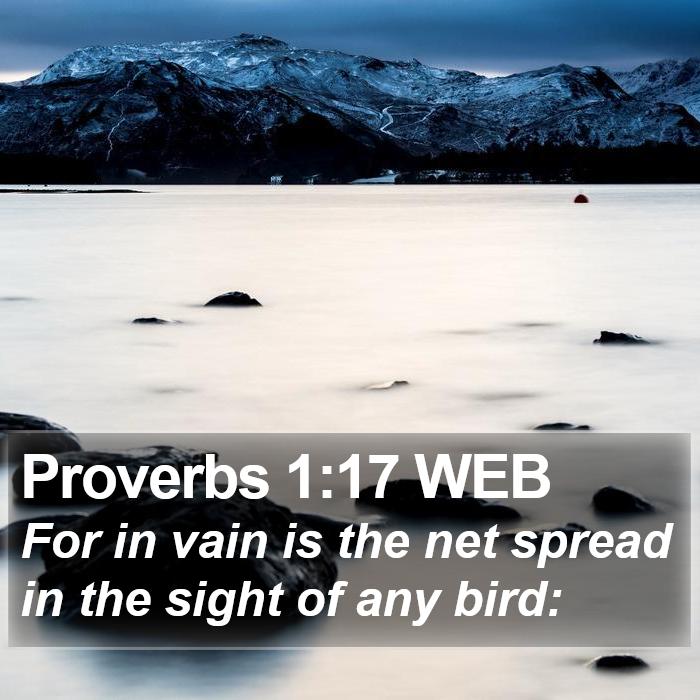 Proverbs 1:17 WEB Bible Study