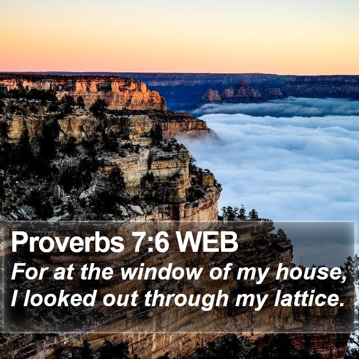 Proverbs 7:6 WEB Bible Study