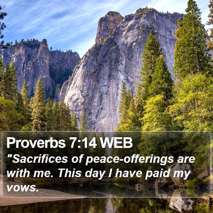 Proverbs 7:14 WEB Bible Study