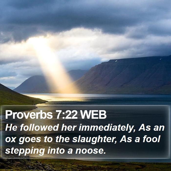 Proverbs 7:22 WEB Bible Study