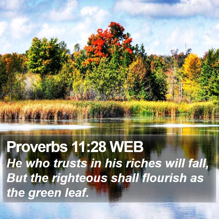 Proverbs 11:28 WEB Bible Study