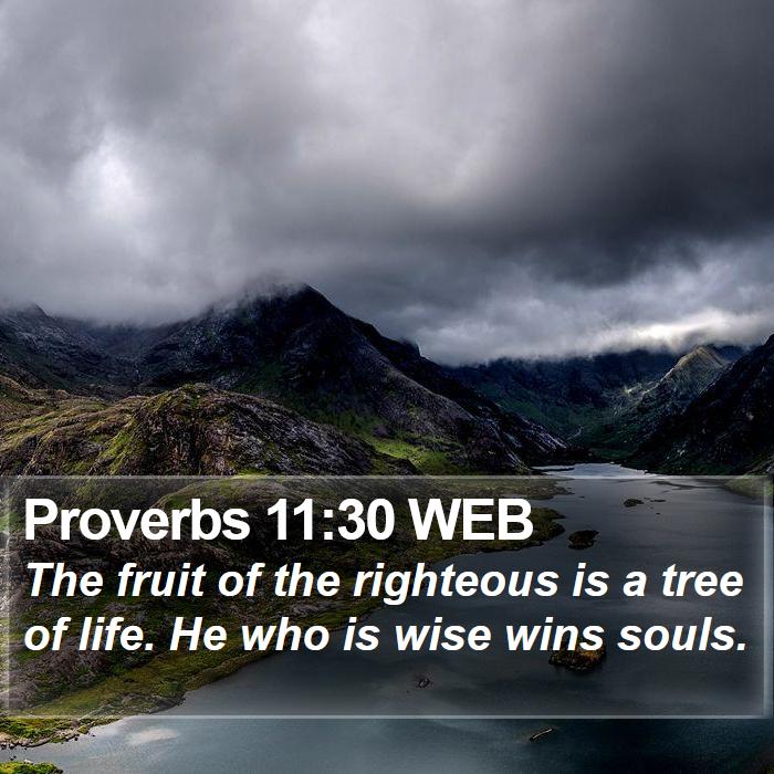 Proverbs 11:30 WEB Bible Study