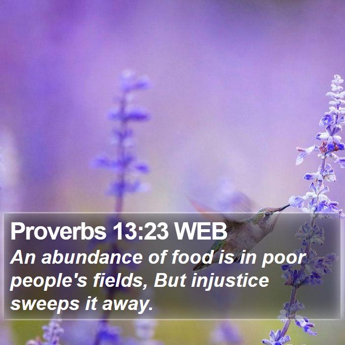 Proverbs 13:23 WEB Bible Study