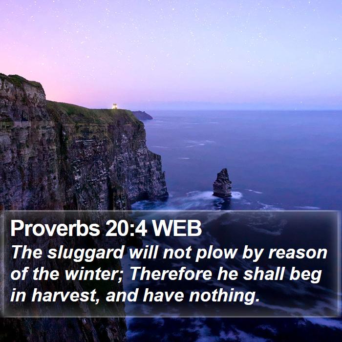 Proverbs 20:4 WEB Bible Study