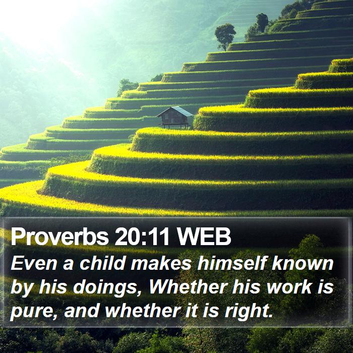 Proverbs 20:11 WEB Bible Study