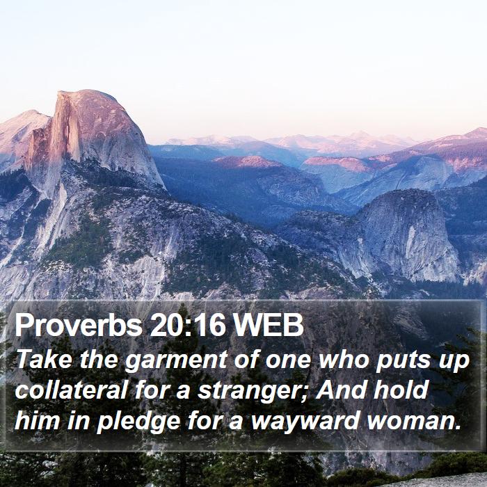 Proverbs 20:16 WEB Bible Study