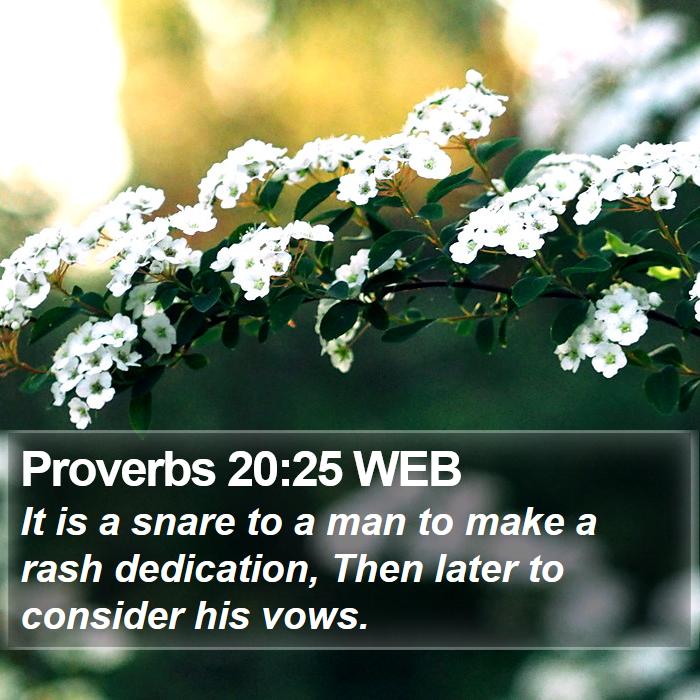 Proverbs 20:25 WEB Bible Study