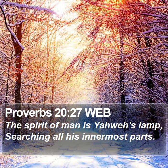 Proverbs 20:27 WEB Bible Study