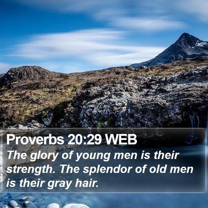 Proverbs 20:29 WEB Bible Study