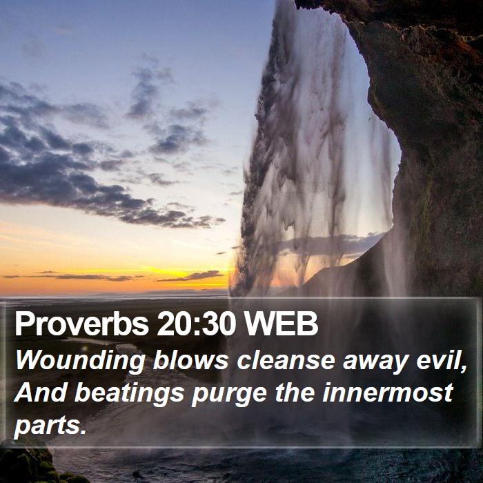 Proverbs 20:30 WEB Bible Study