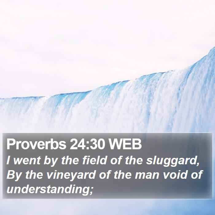 Proverbs 24:30 WEB Bible Study