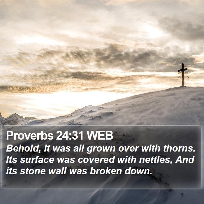 Proverbs 24:31 WEB Bible Study