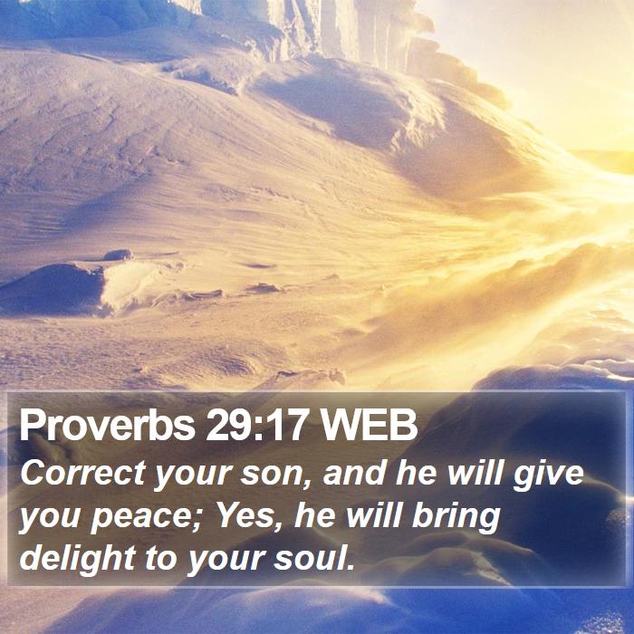 Proverbs 29:17 WEB Bible Study