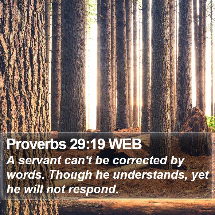 Proverbs 29:19 WEB Bible Study