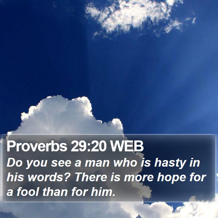 Proverbs 29:20 WEB Bible Study